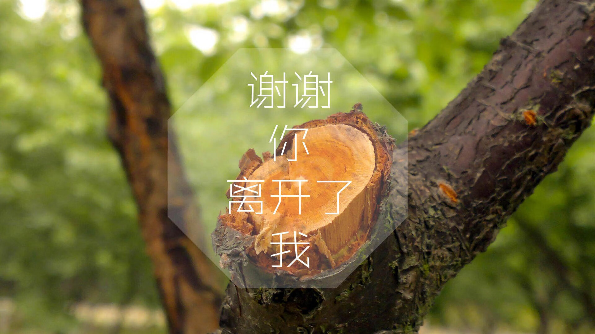 爱游戏下载-英超：曼城4-1大胜沃特福德，哈兰德梅开二度，反超榜首，英超第4轮_曼城5球狂胜利物浦 曼联连胜终结无碍领跑