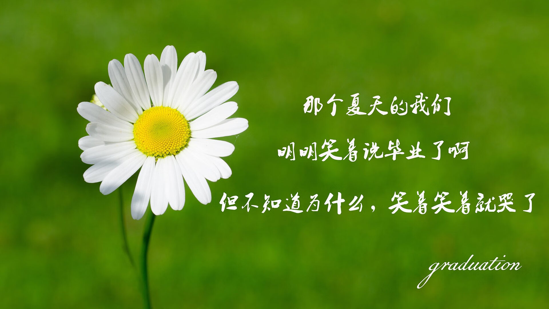 JDG发布2025年选手训练质量报告，职业选手训练赛对手是什么人