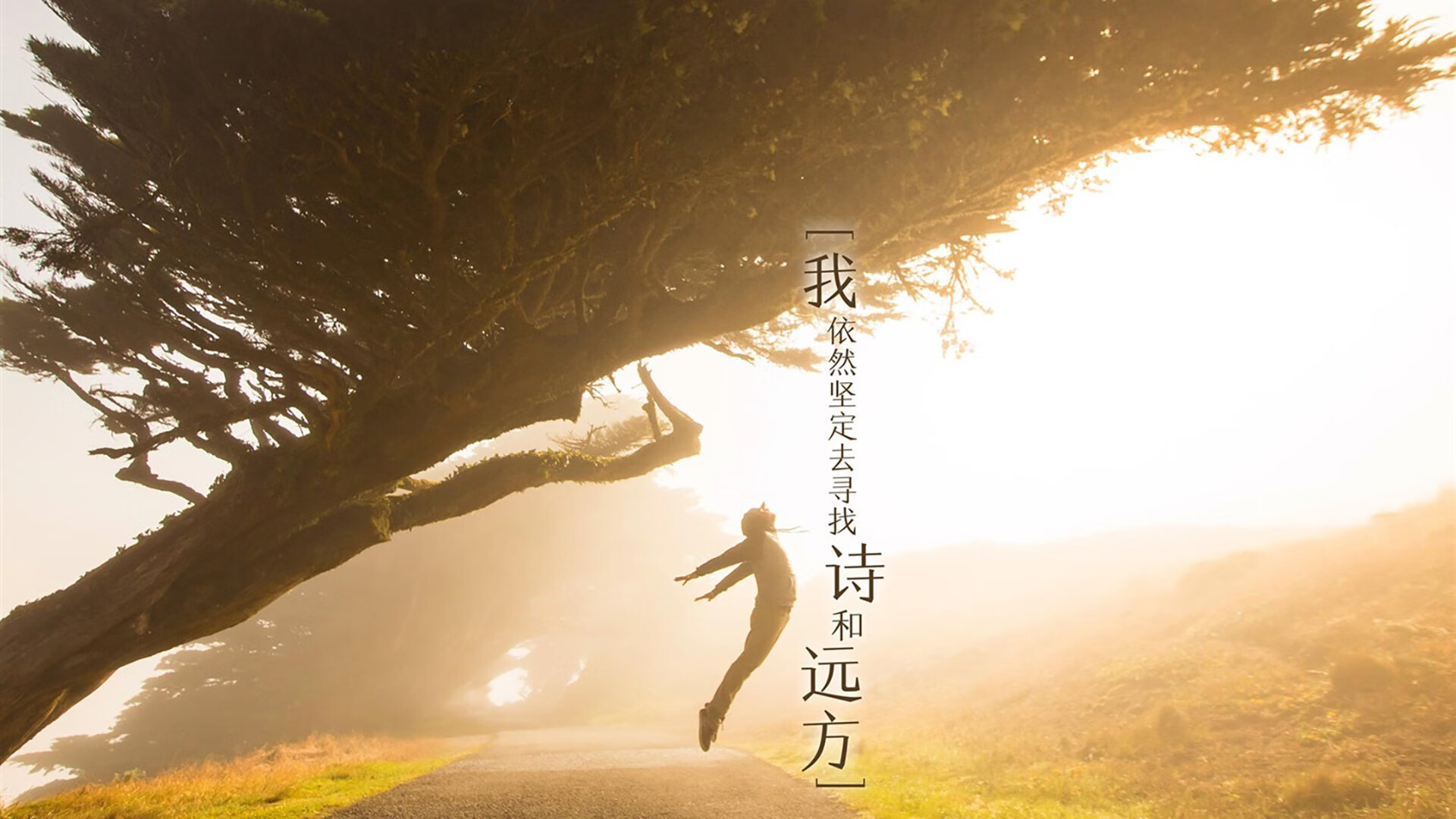 爱游戏-夏洛特队在最新一场比赛中实现逆袭，取得胜利，夏洛特比赛视频