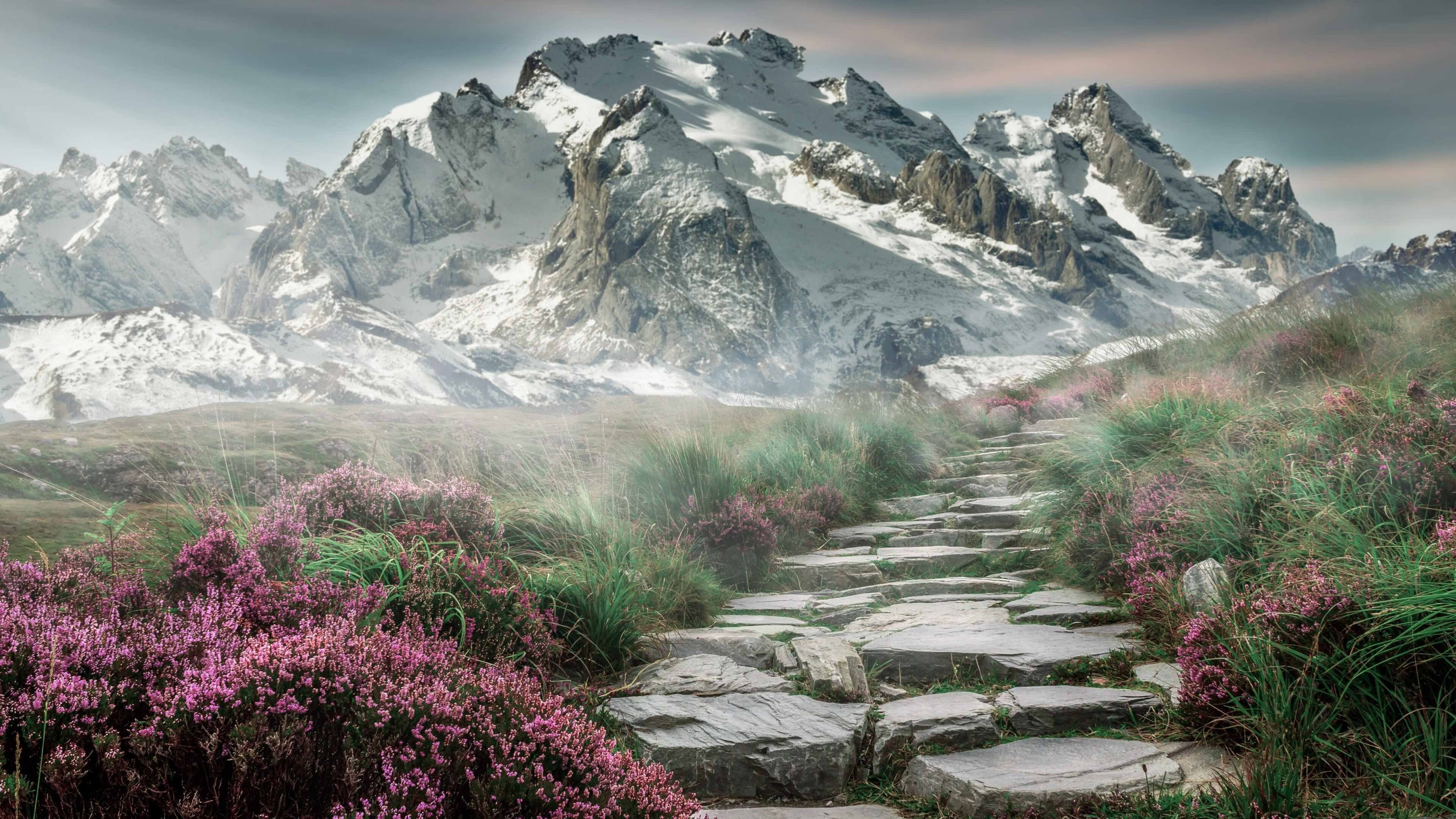 篮球运动员训练负荷科学管理及个性化调节方法研究，篮球课运动负荷