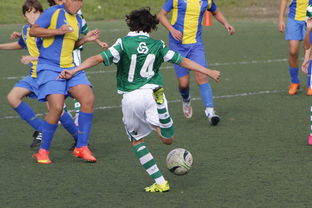 爱游戏娱乐-体育新闻中心发布体育内容原创度评估智能工具，原创体育sports