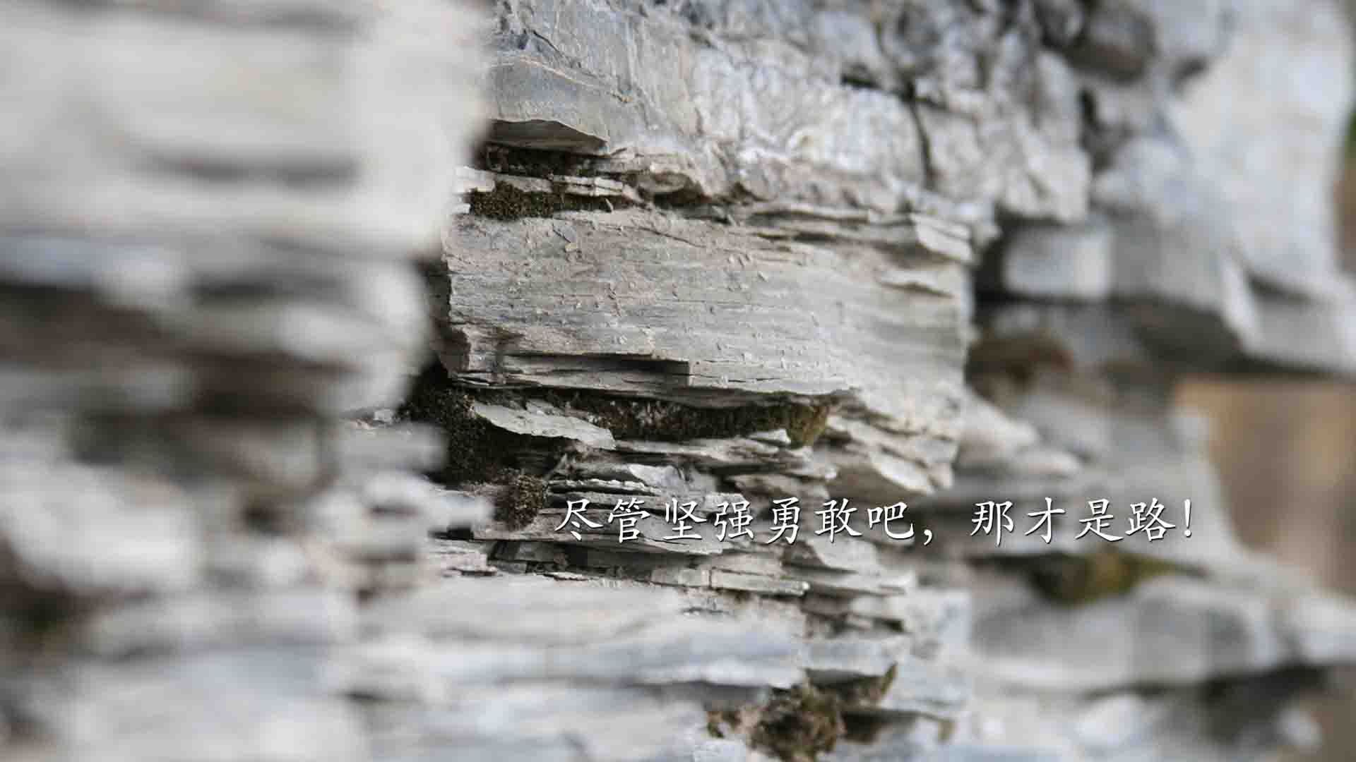 爱游戏在线-国家男篮增加国际热身赛磨合阵容与战术，男篮热身赛数据统计